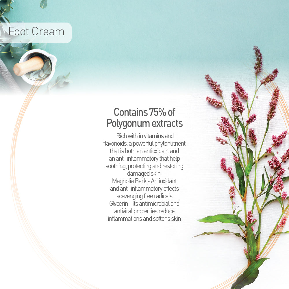 植物修護足部護理霜 CAFTAN Polygonum Foot Cream